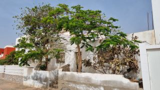 2024-03-Playa_La_Caleta-061.jpg